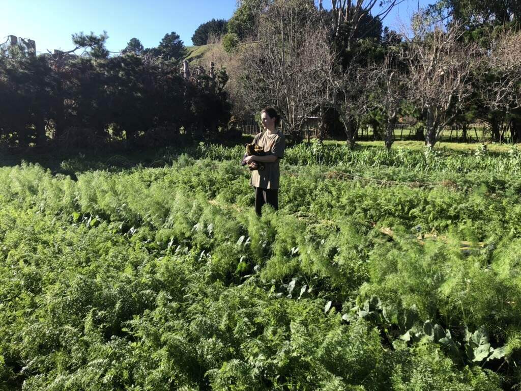 Observing and Learning in the winter sun at Trinity Farm