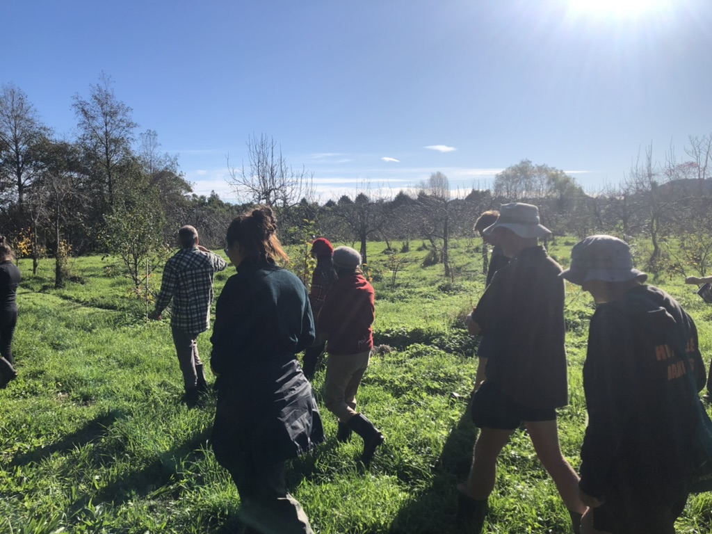 Touring the orchards