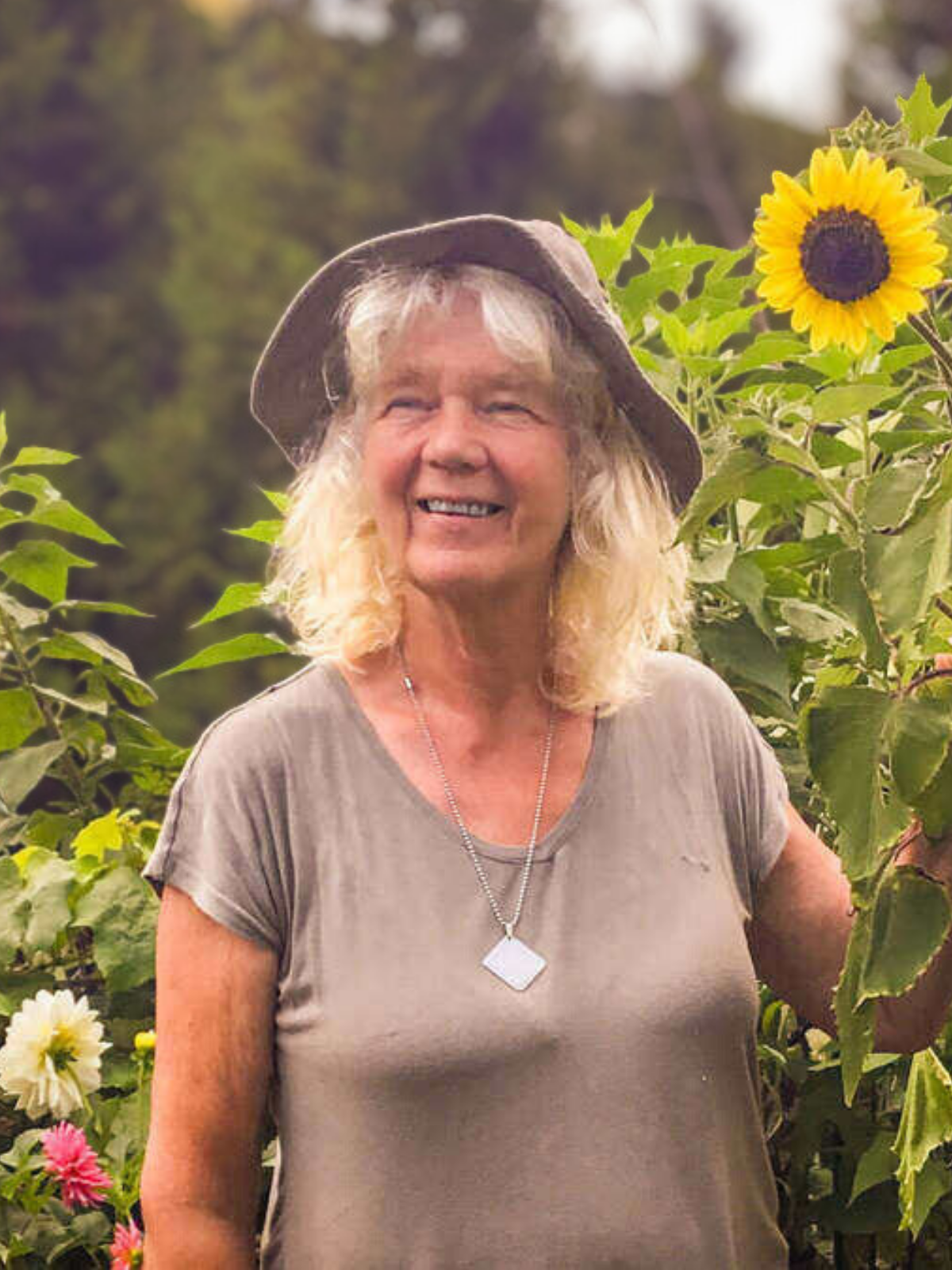 Hella next to sunflower