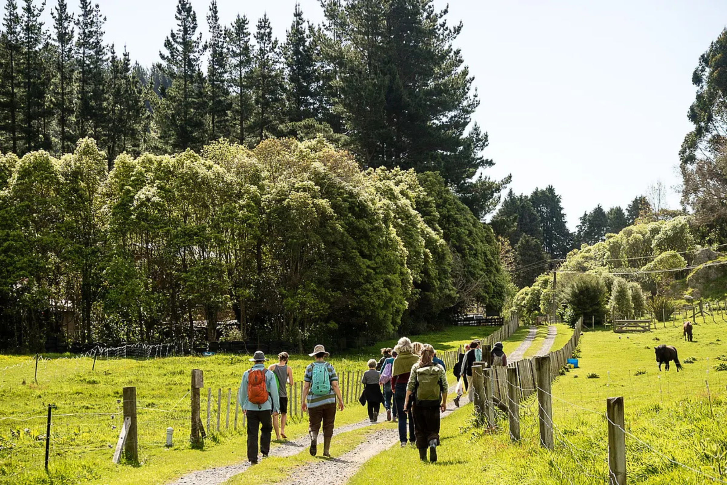 People walking on farm