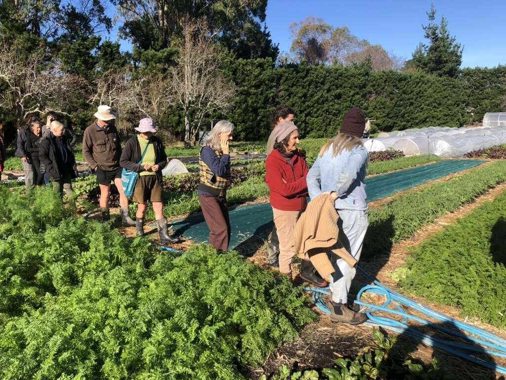 Toru Trail participants touring the Crooked Veg permaculture market garden