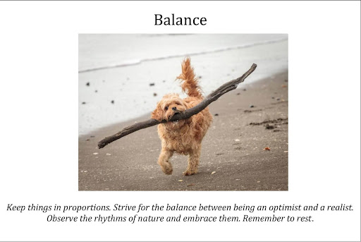 Balance. Keep things in proportion. Strive for the balance between being an optimist and a realist. Observe the rhythms of nature and embrace them. Remember to rest. 