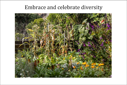 A photo of an abundant garden of flowers and veges