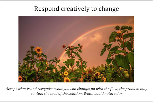 Respond creatively to change. Accept what is and recognise what you can change; go with the flow; the problem may contain the seed of the solution. Would would nature do?