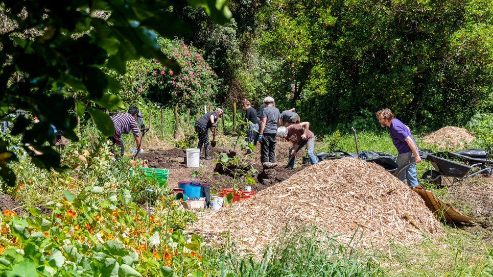 people making a garden in the sun