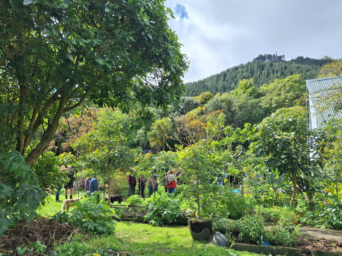 Permaculture & Syntropy Peka Peka 