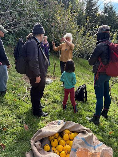 Hella in the Permaculture Orchard