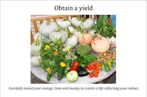 Obtain a Yield - harvest from a permaculture garden