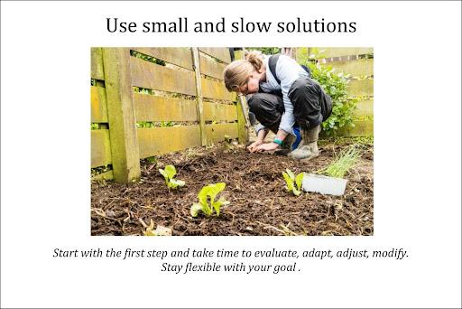 Use Small and Slow Solutions - Planting letttuce in a permaculture garden