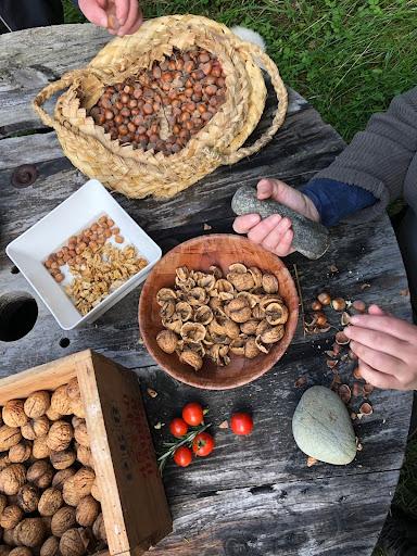 harvesting and shelling nuts
