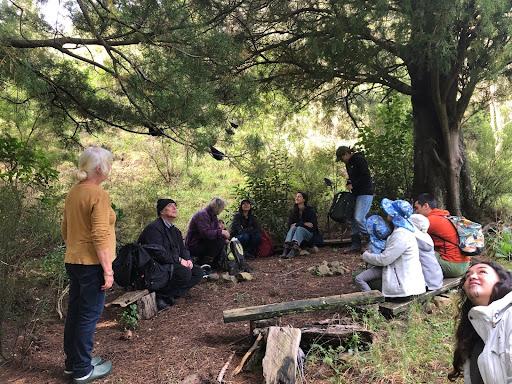 listening to stories in the kahikatea classroom