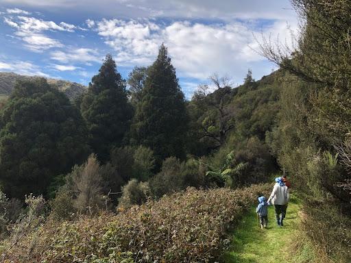A parent and child walk along a path through regenerating bush