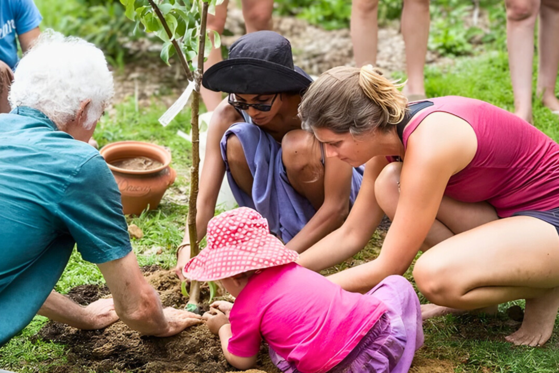 Community planting a tree.